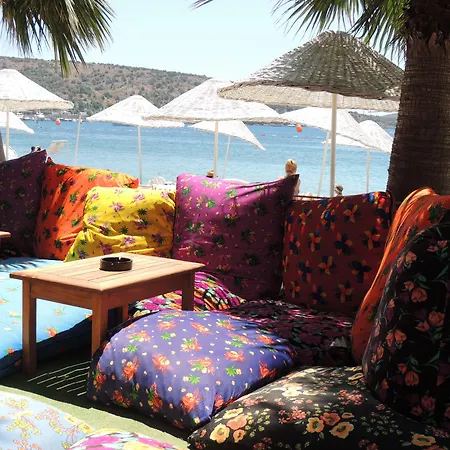 Okaliptus Hotel Bitez