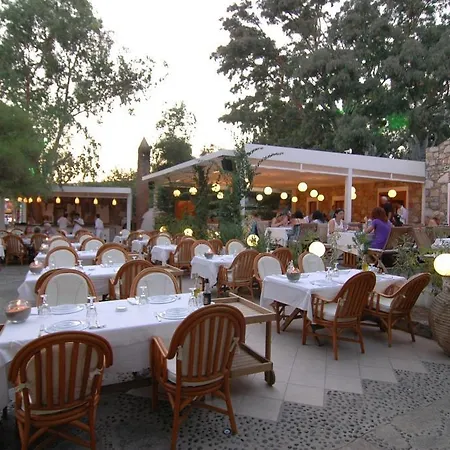 Hotel Okaliptus