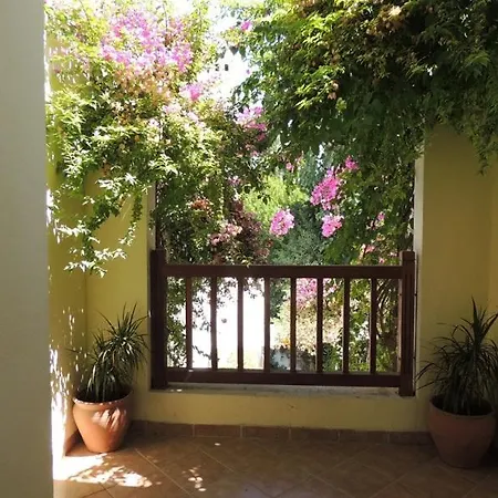 Hotel Okaliptus 4*
