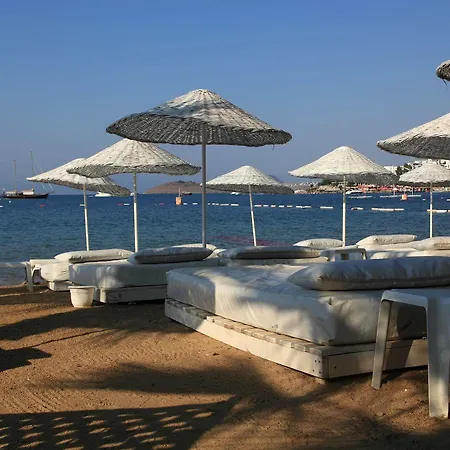 Okaliptus Hotel 4*