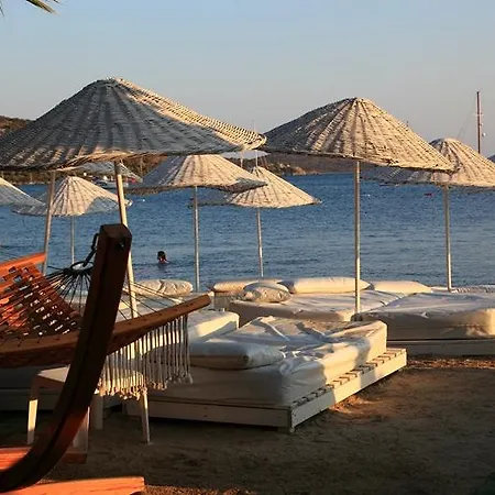 Okaliptus Отель