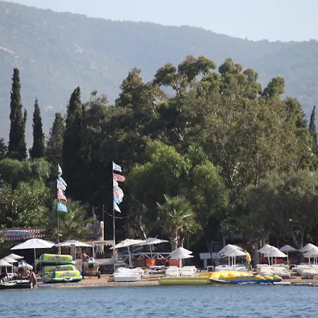 Okaliptus Битез