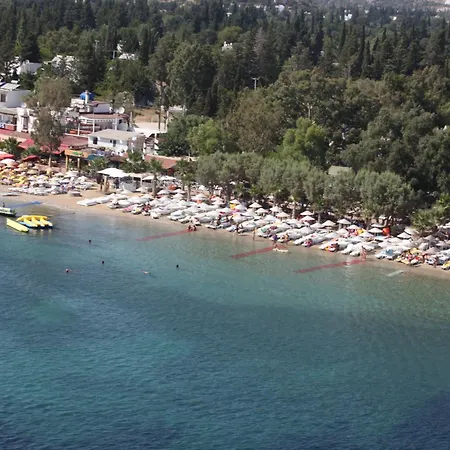 Hotel Okaliptus