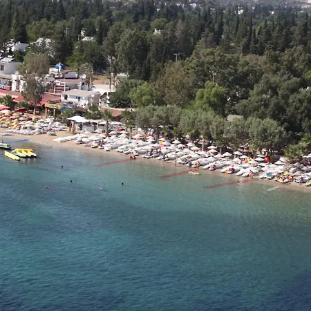 Отель Okaliptus