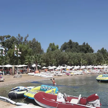 Hotel Okaliptus 4*