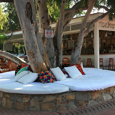 Hotell Okaliptus 4*
