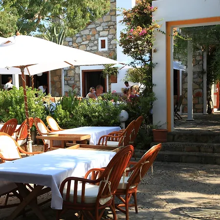 Отель Okaliptus Битез