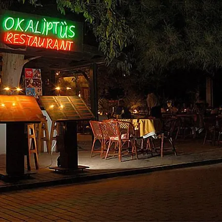 Отель Okaliptus