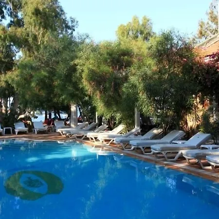 Okaliptus Отель 4*