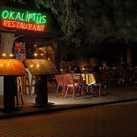 Okaliptus Bitez