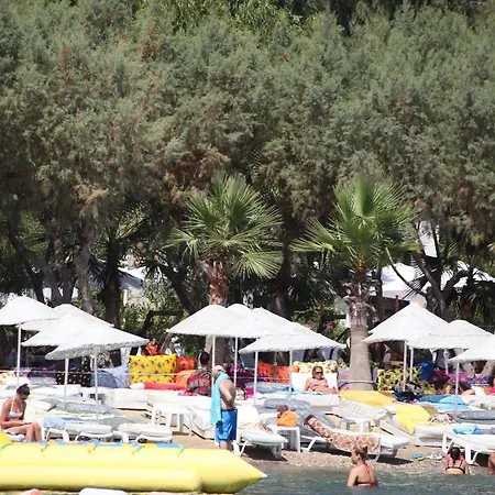 Okaliptus Hotell