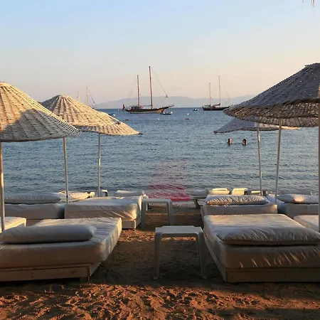 Okaliptus Hotel