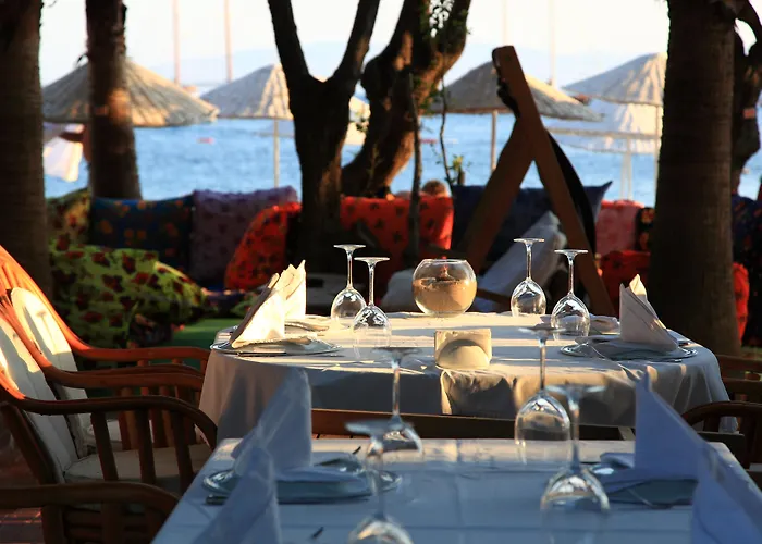 Okaliptus 4* ביטז