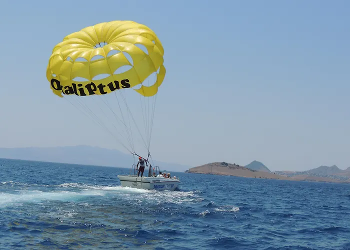 Okaliptus Отель