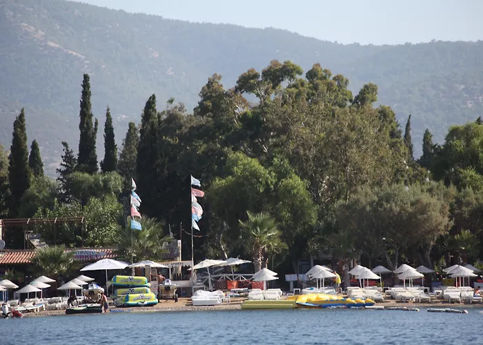 Okaliptus Битез