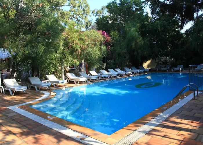 Hotel Okaliptus 4*
