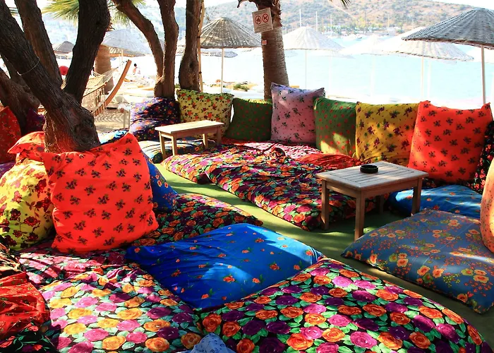 Okaliptus 4* ביטז