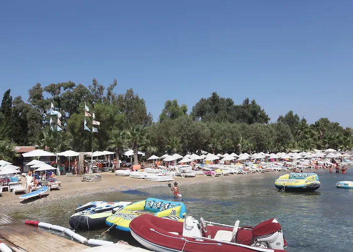 Отель Okaliptus Битез