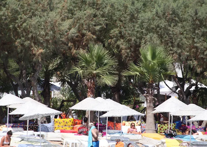 Okaliptus 4* ביטז