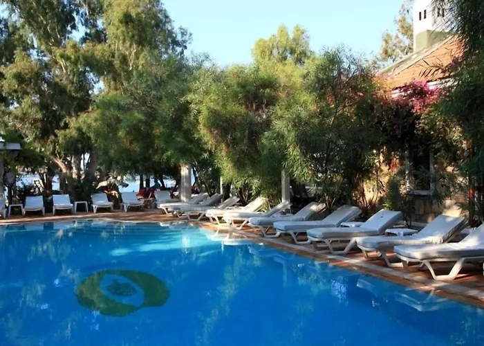 Okaliptus Hotel 4*