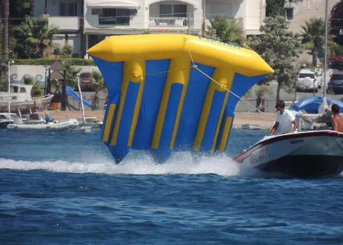 Okaliptus מלון 4*