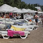 Okaliptus