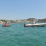 Okaliptus