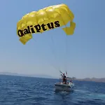 Okaliptus 4*