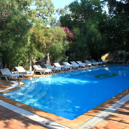 Hotell Okaliptus 4*
