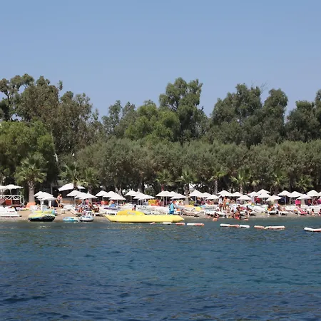 فندق Okaliptus 4*