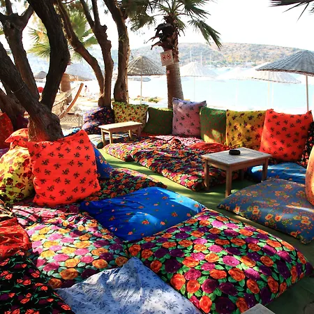 Okaliptus 4* 바이즈