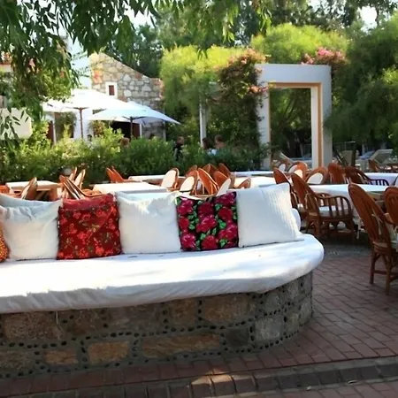 Okaliptus 4* 바이즈