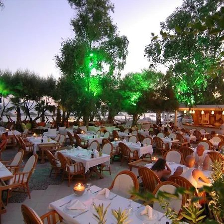 فندق أوكاليبتوس 4*