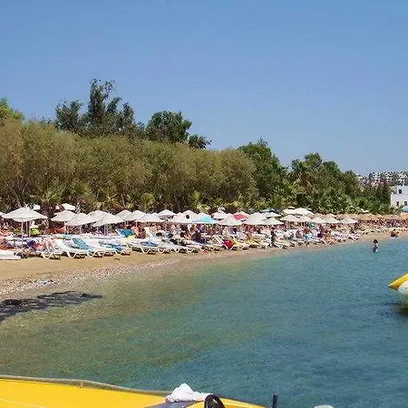 Ξενοδοχείο Okaliptus