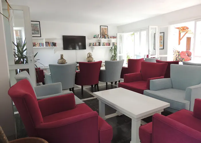 Okaliptus بيتيس