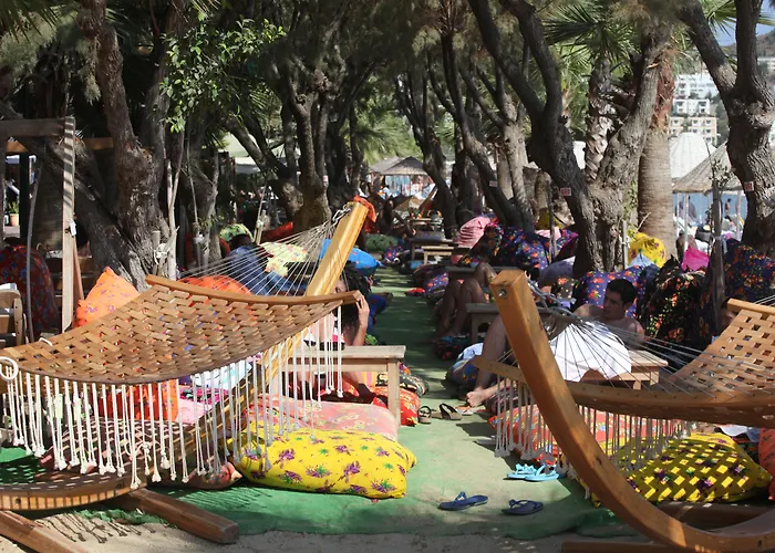 Okaliptus فندق 4*