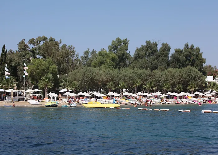 فندق Okaliptus 4*