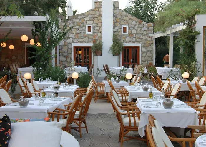 فندق Okaliptus 4*