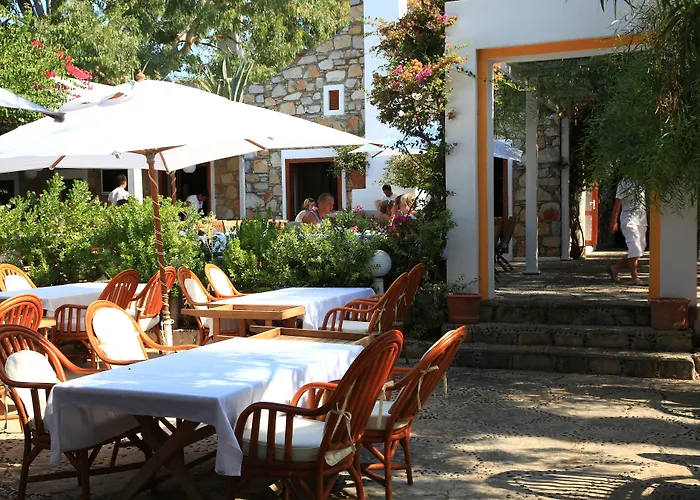 Hotell Okaliptus Bitez