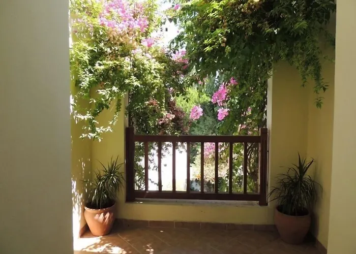 Okaliptus 4* بيتيس