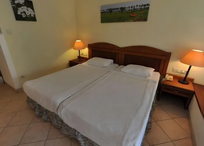 Okaliptus بيتيس