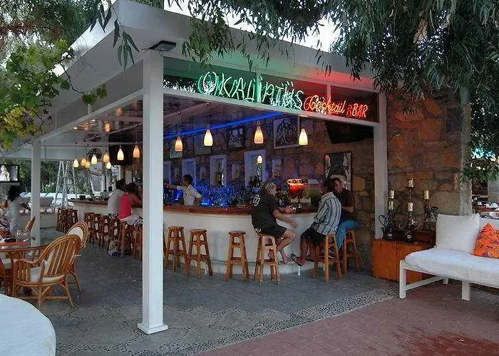 Okaliptus فندق 4*